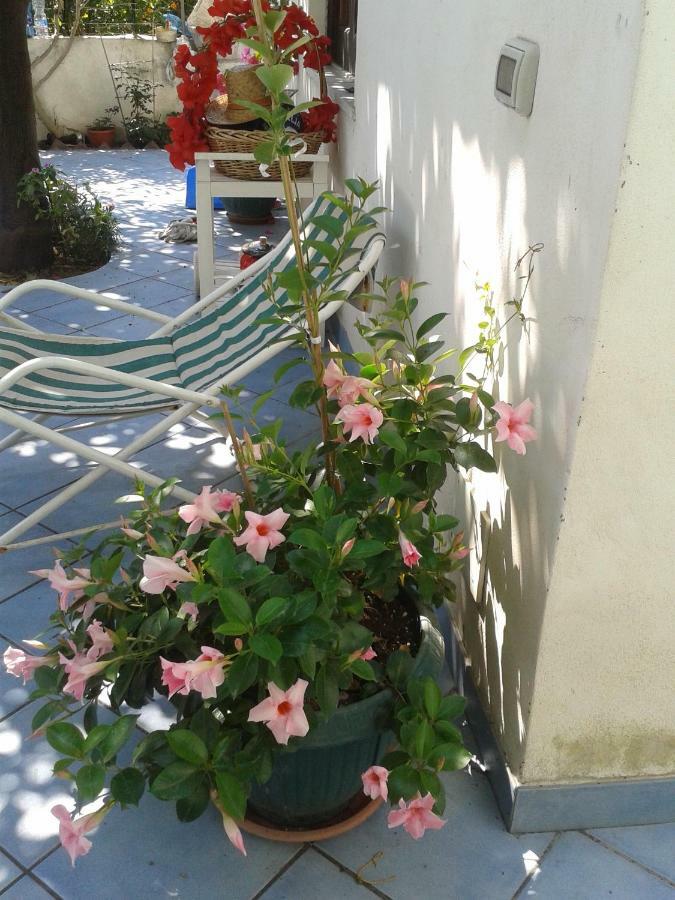 B&B Albatros Lipari  Eksteriør billede